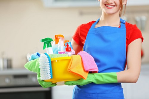 Regular domestic cleaning service for NW11 residents