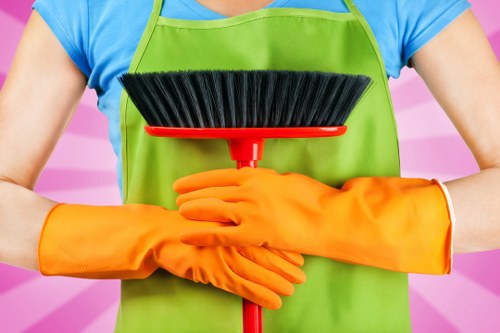 Professional carpet cleaning process in a North West London property