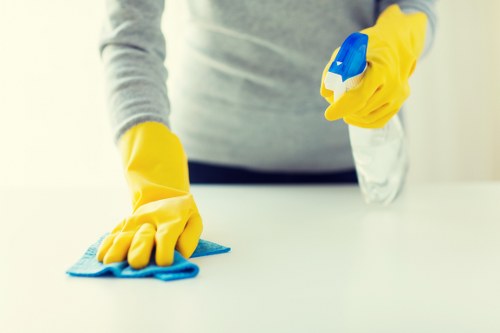 Deep cleaning upholstered furniture in an NW11 living room