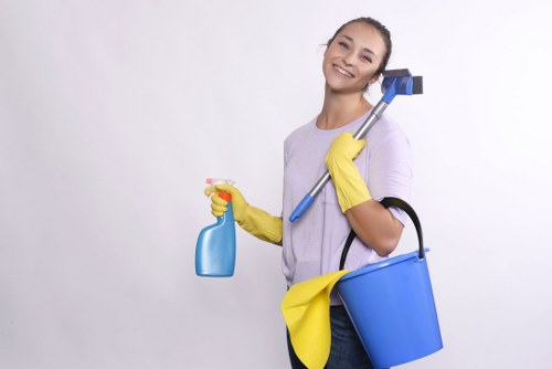 Carpet cleaner working in a family home in NW11