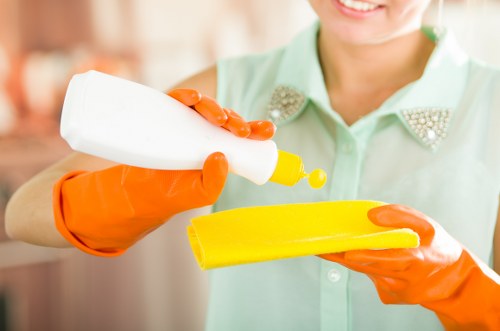 Deep cleaning support for NW11 properties